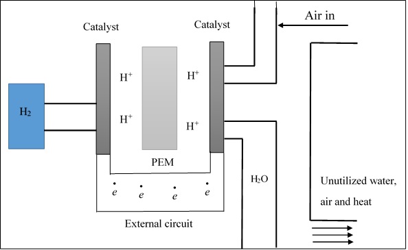 The Role of Nanotechnology in Proton Exchange Membrane Fuel Cell and Microbial Fuel Cell: The Insight of Nanohybrid