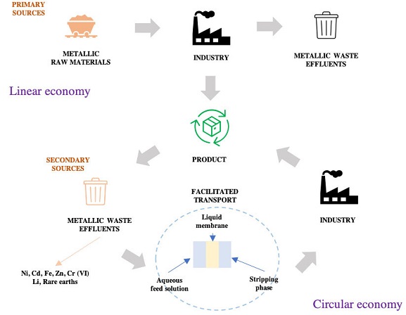 New Challenges and Applications of Supported Liquid Membrane Systems Based on Facilitated Transport in Liquid Phase Separations of Metallic Species 