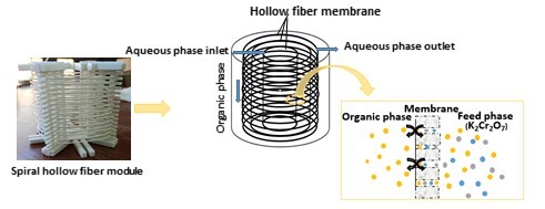 Spiral Hollow Fiber Membrane Contactor for Chromium (VI) Removal from Aqueous Solution