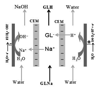 In situ ion substitution of sodium gluconate: Comparison of bipolar membrane electrodialysis and electro-membrane reactor for producing gluconic acid 