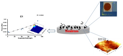 The Synergistic Fouling of Ceramic Membranes by Particles and Natural Organic Matter Fractions using Different Surface Waters in South Africa 