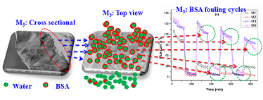 Preparation and Characterization of CA−PEG−TiO2 Membranes: Effect of PEG and TiO2 on Morphology, Flux and Fouling Performance 