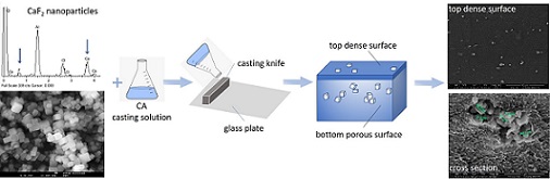 Synthesis of Calcium Fluoride Ultrafine Particles for the Preparation of Integral Asymmetric Cellulose Acetate/Calcium Fluoride Membranes 